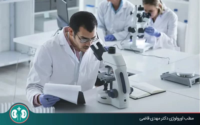 باثولوجيا سرطان المثانة وتفسير التقرير: الأنواع والدرجة والمرحلة