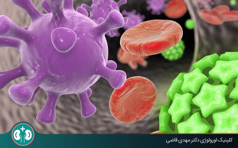 تفاوتها و علائم زگیل تناسلی در بیماران نقص ایمنی؛ تشخیص و درمان مؤثر