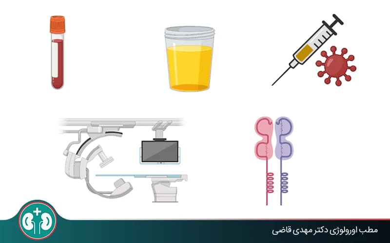 دليل فحوصات ما قبل زراعة الكلى: ما هو فحص لوحة الأجسام المضادة (PRA)؟