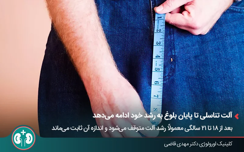 مردی در حال اندازهگیری سایز آلت خود با متر