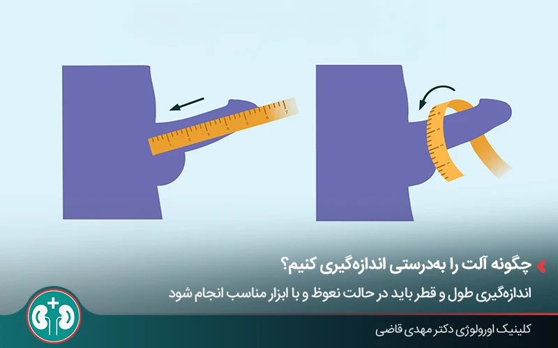آموزش تصویری روش اندازهگیری طول و قطر آلت تناسلی