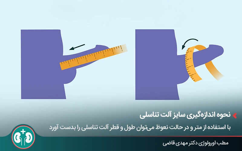 نحوه اندازهگیری طول و قطر آلت تناسلی