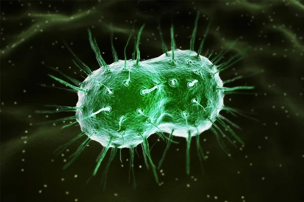 std