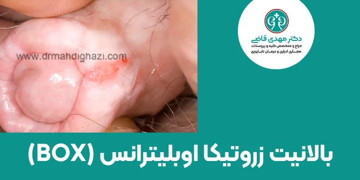 بالانیت زروتیکا اوبلیترانس